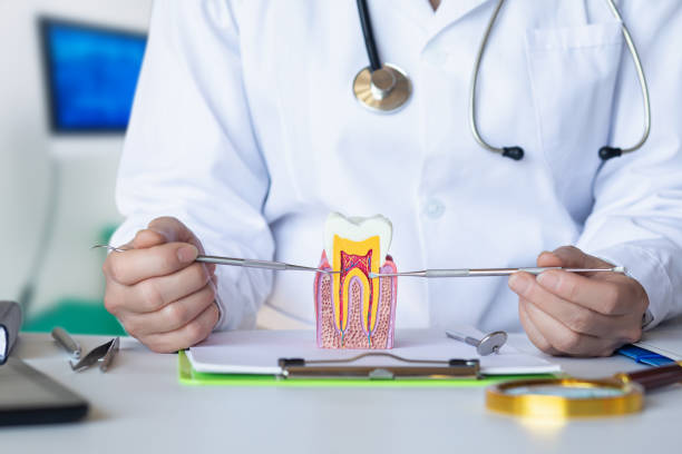 Best Orthodontic Emergency Dentist in Orosi, CA